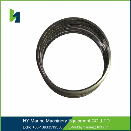 Piston Ring for 6HA Ship Engine