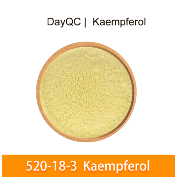 Suplemento Sophora japonica Extracto al 50% de kaempferol en polvo