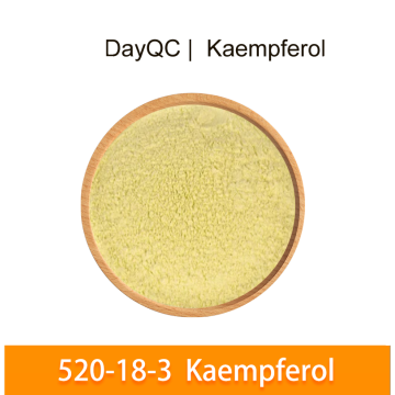 Supplement Sophora Japonica Extract 50% Kaempferol Powder