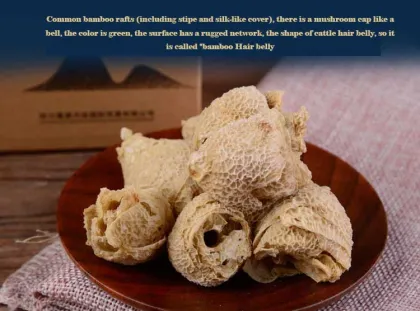 Wholesale Chinese Hot Product Wild bamboo morel