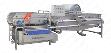 Stainless steel swirl salad/fruit/vegetables washing machine