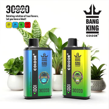 Double Recharger Vaper Disposable Bang King 30000 Puff