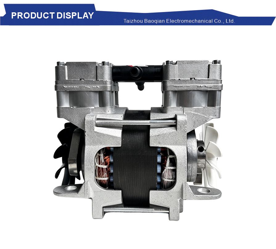 Oil free low vibration vacuum pump