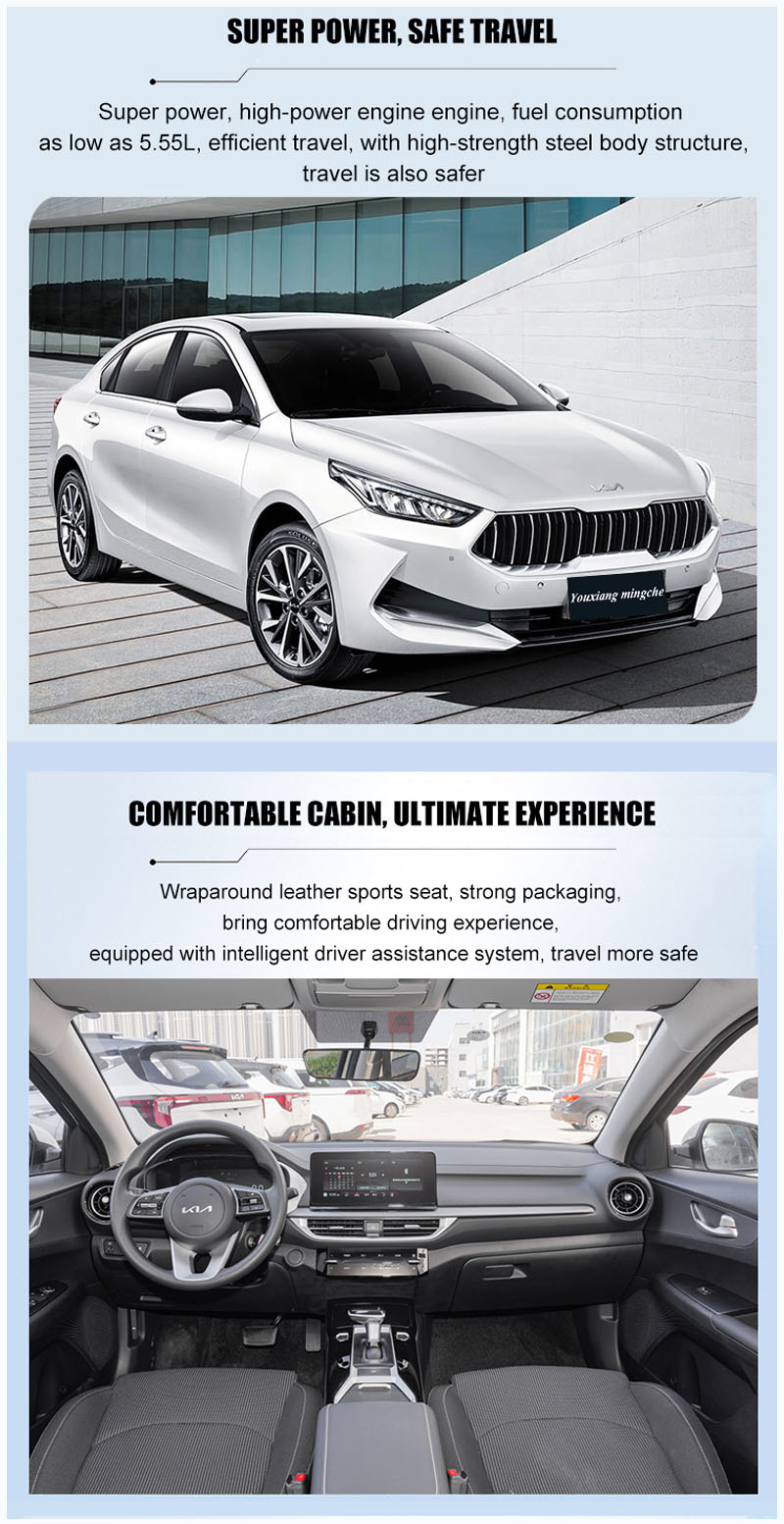 Electric Car Showcase