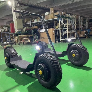 고전력 전기 스쿠터 : EU/US Warehouse, 3000W &amp; 5000W CityCoco Mobility Solutions