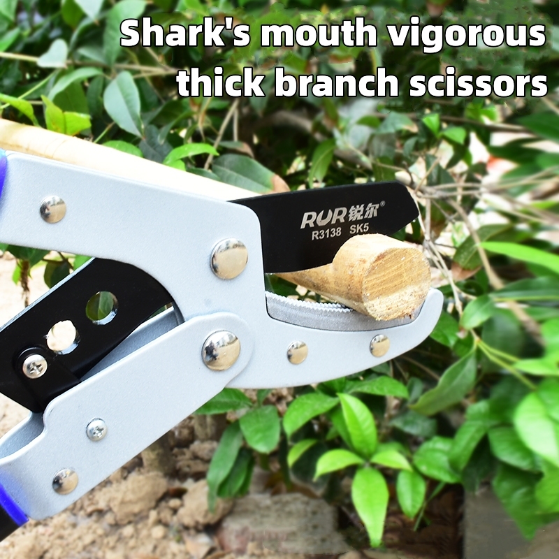 Powerful Telescopic Horticultural Scissors Flower Bicorp Shears Upgrade High Telescopic Handle Bare Shears
