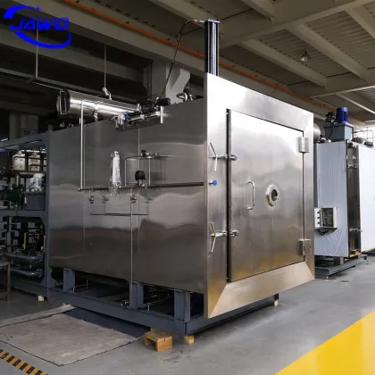 High Efficiency Freeze Dryer Machine Lyophilizer Industrial Freeze Dryer in Philippines