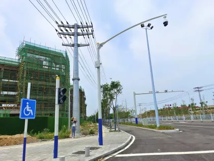 pole cctv camera