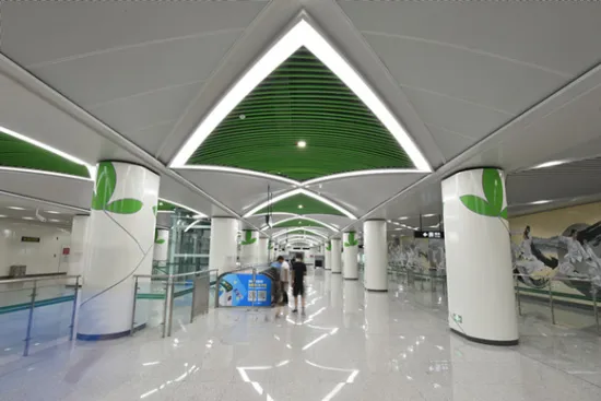 Hall ceiling LED light customization