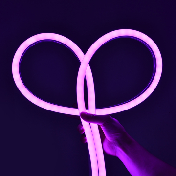 Neon LED Strip Light - 16.4ft/5m, 12V DC, 600 SMD2835 LEDs, Waterproof, Flexible Indoor/Outdoor Decorative Light in Purple