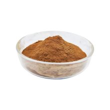 Free Sample Herbal Extract Pure Chaga Extract Powder