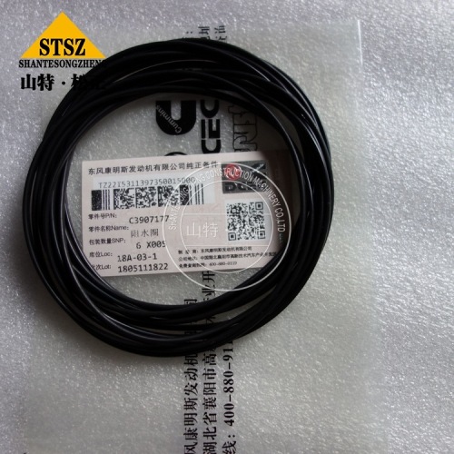 CUMMINS SPARE PARTS RECTANGULAR RING SEAL 3907177