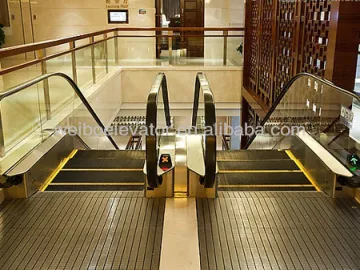 Shopping Mall Passenger Escalator