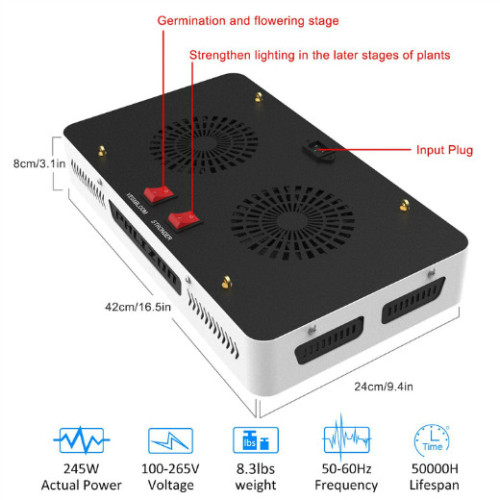 Phlizon 1000W COB LED rośnie światło