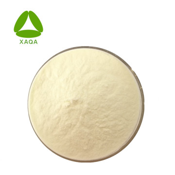 Alpha Beta-galactosidas Oryzatym Powder CAS No 9031-11-2