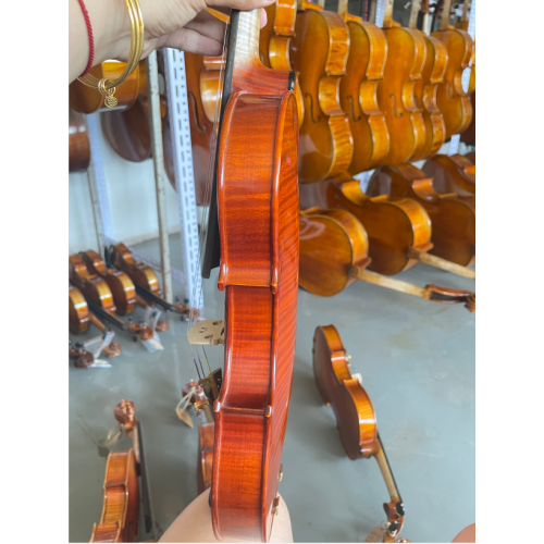 Υψηλής ποιότητας Eup Professional 4/4 Old Violin