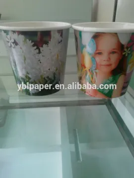 20oz Custom Logo Printed Flower Paper Pot Cover