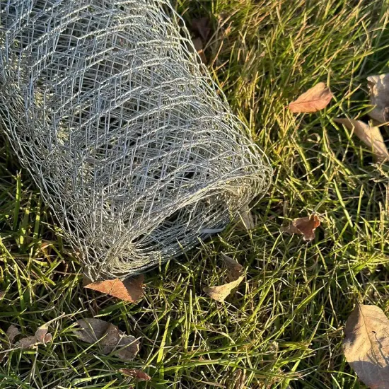 Hot Dipped Galvanized 1\" Hexagonal Wire Mesh Suppliers