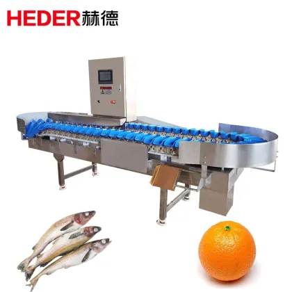 Kiwi Fruit and Vegetable Weight Sorting Grading Machines