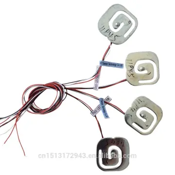 micro load sensor for palm scale