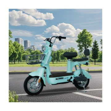 CKD Electric Motorcycle: Long Endurance 48V 25A Scooter met pedalen