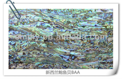 abalone shell paper laminate