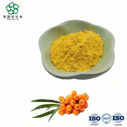 Competitive Price Hippophae Rhamnoides Powder