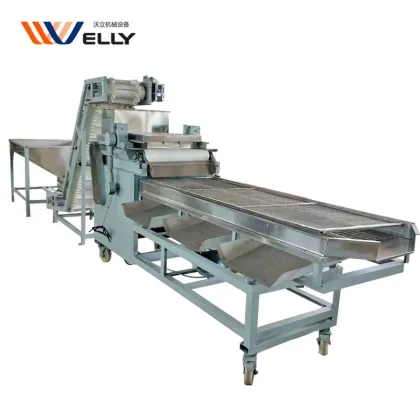 Almond and Betel Nut Cutting Machine