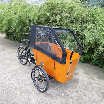 Swing Balance Electric Tilt System Cargo Bike: 3-Wheel Electric Tricycle for Dogs and Goods