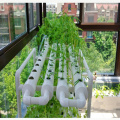 NFT 12 PIPE HOUSE HOME HYDROPONIC CORN