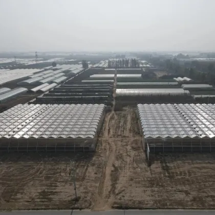 Multi-span PC Board Plastic Greenhouse