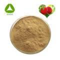 Bayberry Bark Extract Poederplaatextract