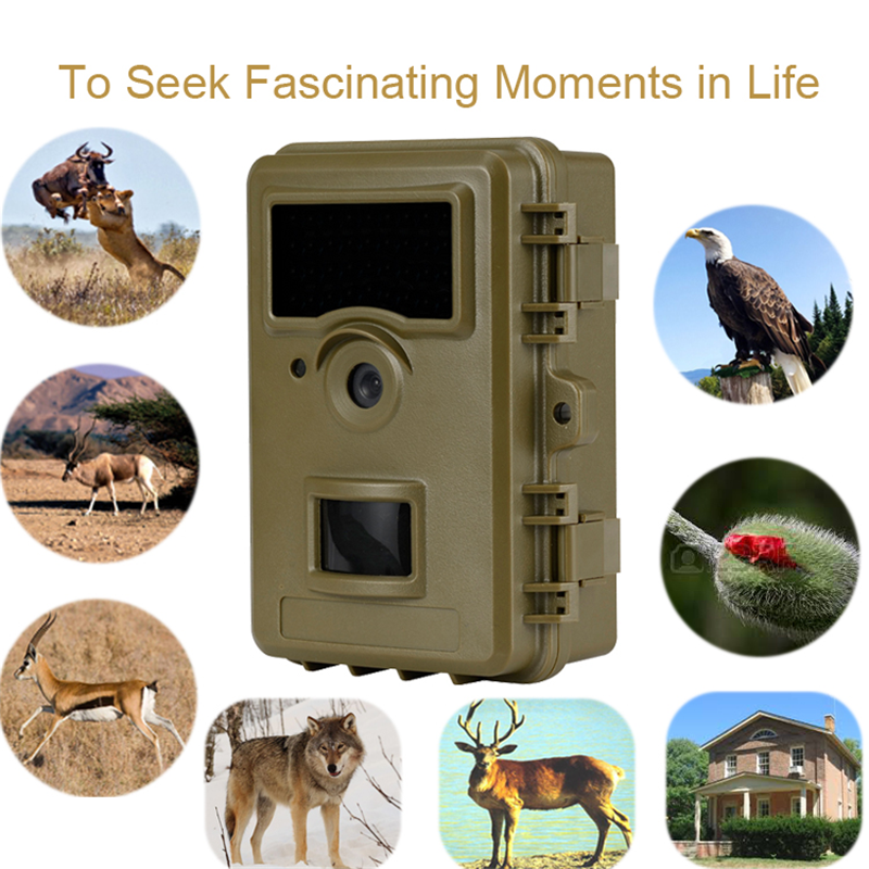 Infrared IR Scouting Trail Game Camera