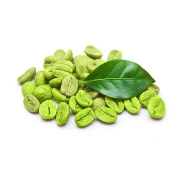 Green Coffee Bean Extract Powder 10:1 Lose Weight