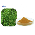 Rosemary Extract Ursolic Acid Carnosic Acid Rosmarinic