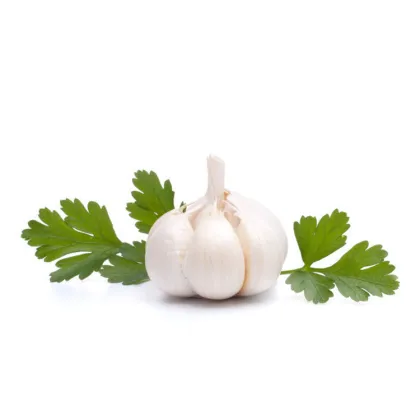 Fresh white garlic price single seed