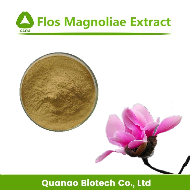Flos Magnoliae / Magnolia / Lilifloree Extract Flower Pó