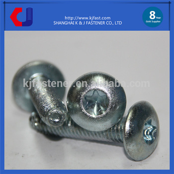 Factory Supply Reasonable Price Wholesale Decorative Wood Screw