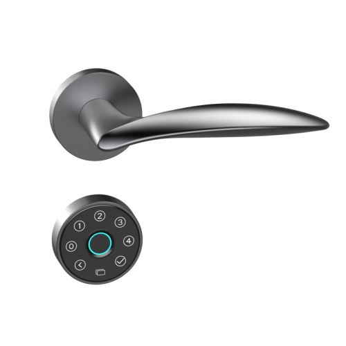 Smart Lock -Integration mit Smart -Home -Geräten