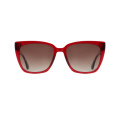 Vente chaude surdimensionnée Cat Eye Light Acetate Sunglasses