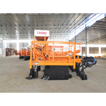 Tagrrm Hot Selling 2 Rader Sugarcane Planting Machine