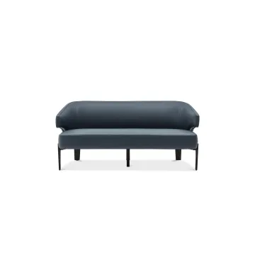 Leisure Lounges Customizable Sofa Sleeper Leisure Sofa