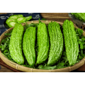Luffa Cylindrica Extract Powder