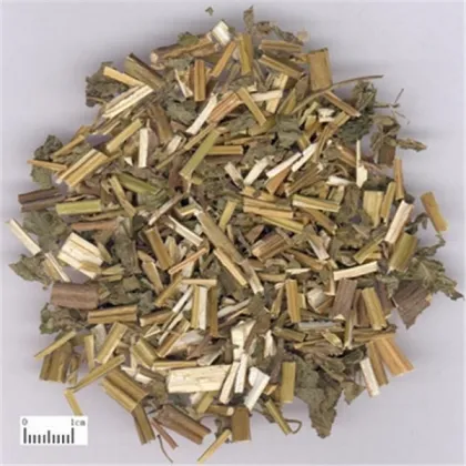 Herba Pogostemonis estragole Agastache Rugosus huo xiang