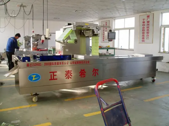 Chili Stretch Vacuum Packaging Machine (Code)