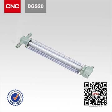 . Mine Explosion-Proof Fluorescent Lamp (DGS20)