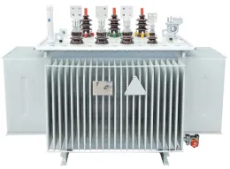 S11-M-30 10KV OIL IMMERSED POWER TRANSFORMER