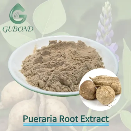 Pueraria 1%–98% Lobata Kudzu Root Extract Powder
