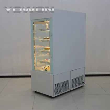 Big Size Glass Pepsi Cola Display Fridge