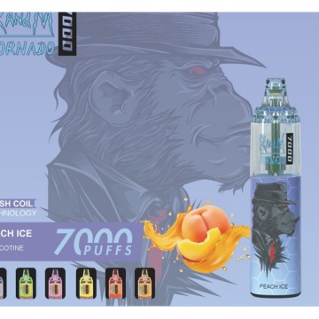 Disposable Electronic Cigarette RandM Tornado 7000 Puffs